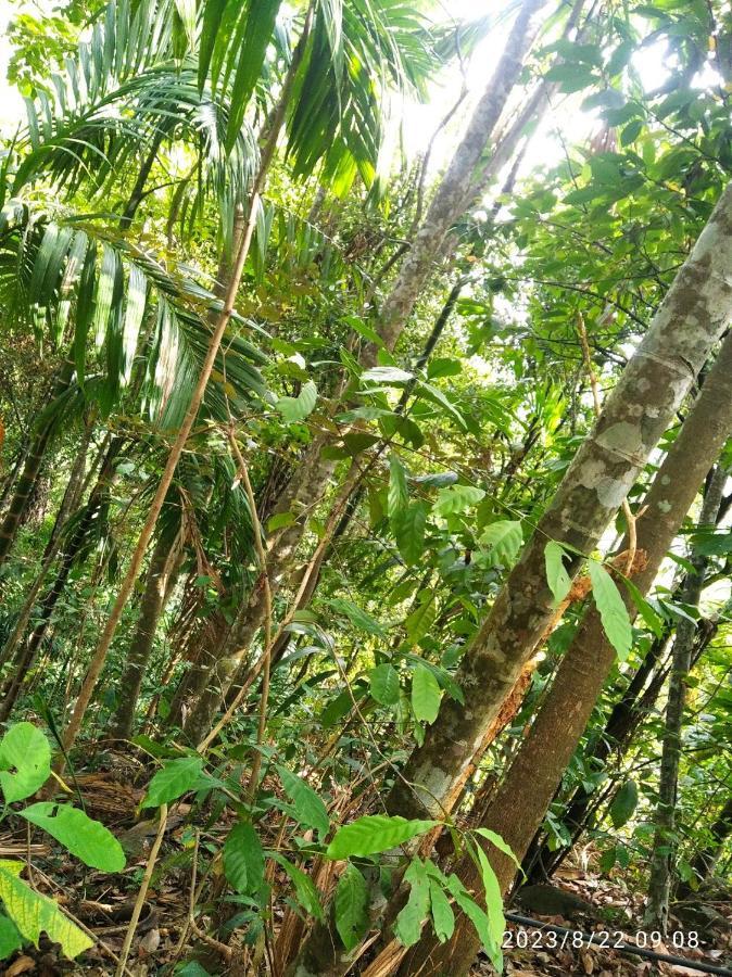 Spiritual Nature Farm - Sri Lanka Matale Exterior photo