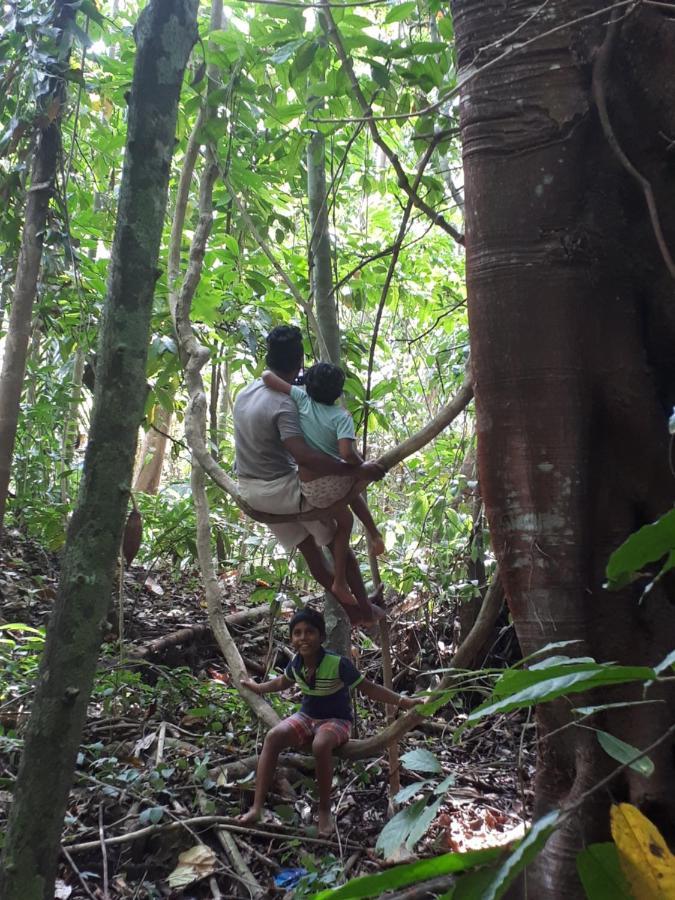 Spiritual Nature Farm - Sri Lanka Matale Exterior photo