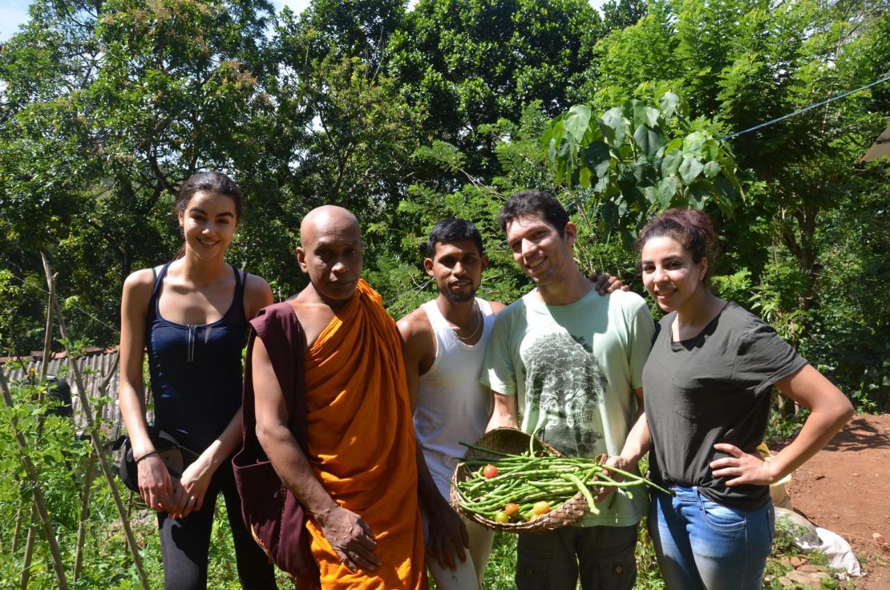 Spiritual Nature Farm - Sri Lanka Matale Exterior photo