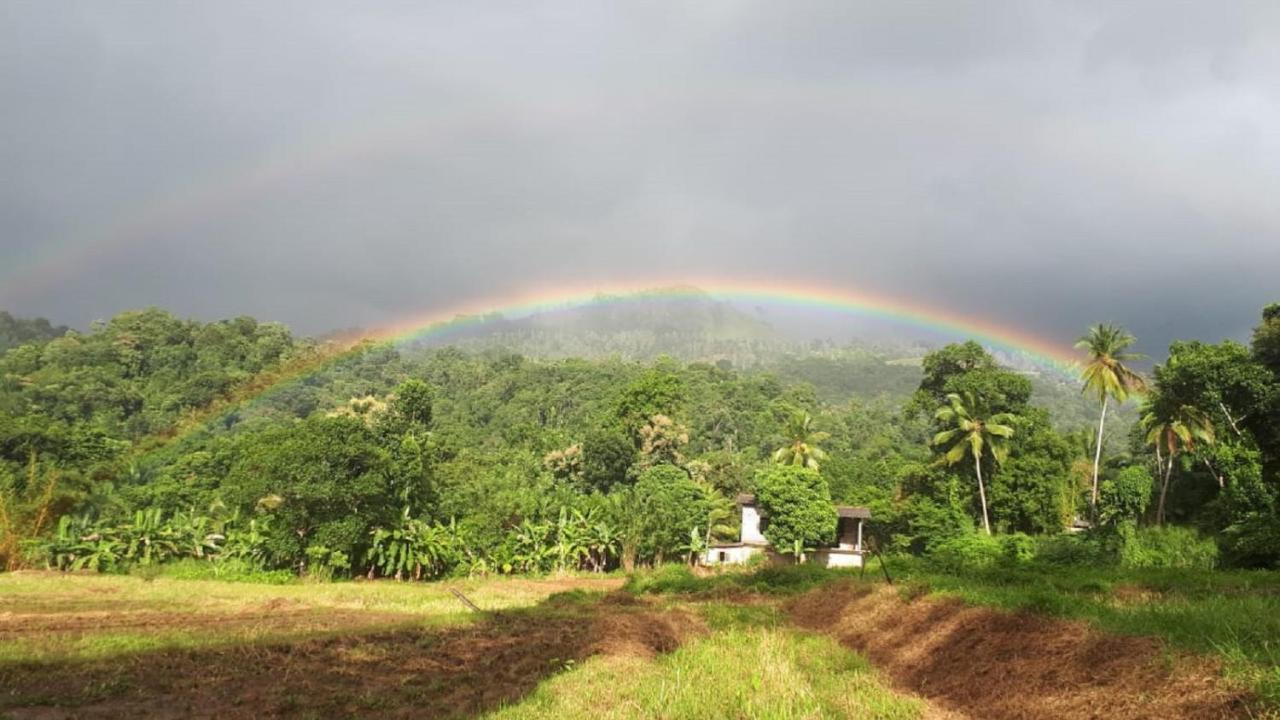 Spiritual Nature Farm - Sri Lanka Matale Exterior photo